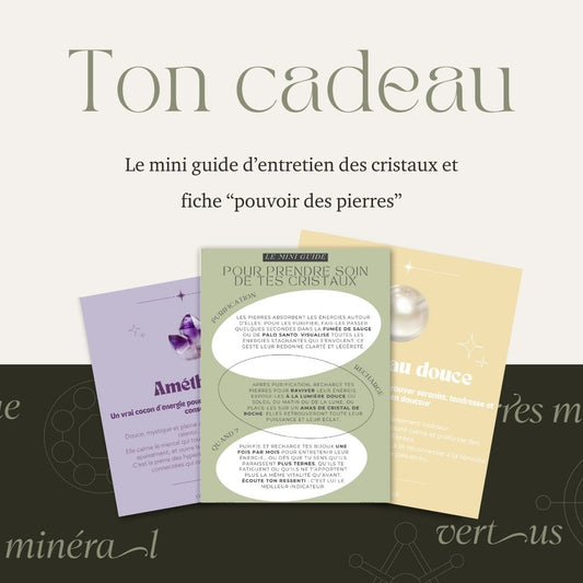 Mini guide d'entretien