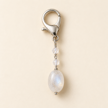 Pendentif Osmose pour chien et chat