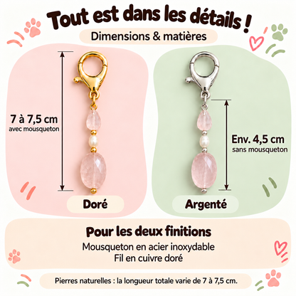 Pendentif Osmose pour chien et chat